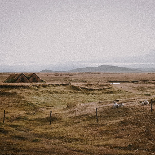 Island, Iceland, MAgical Staverune, handgestochene Tätowierungen by Ancientskin