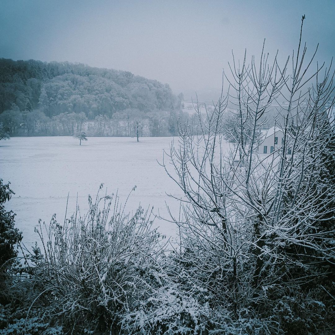Handpoked Tattoo Schnee Natur